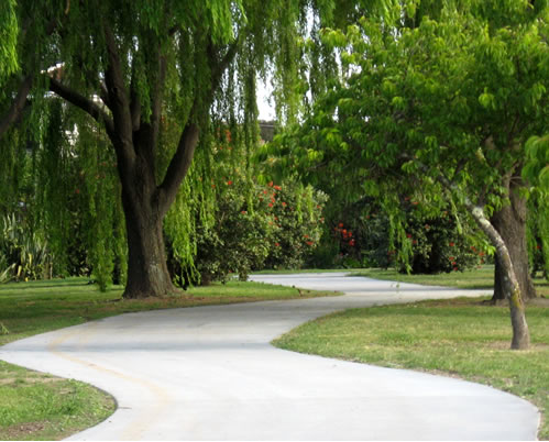 Scenic section of Taipo Stream Pathway completed 2012.